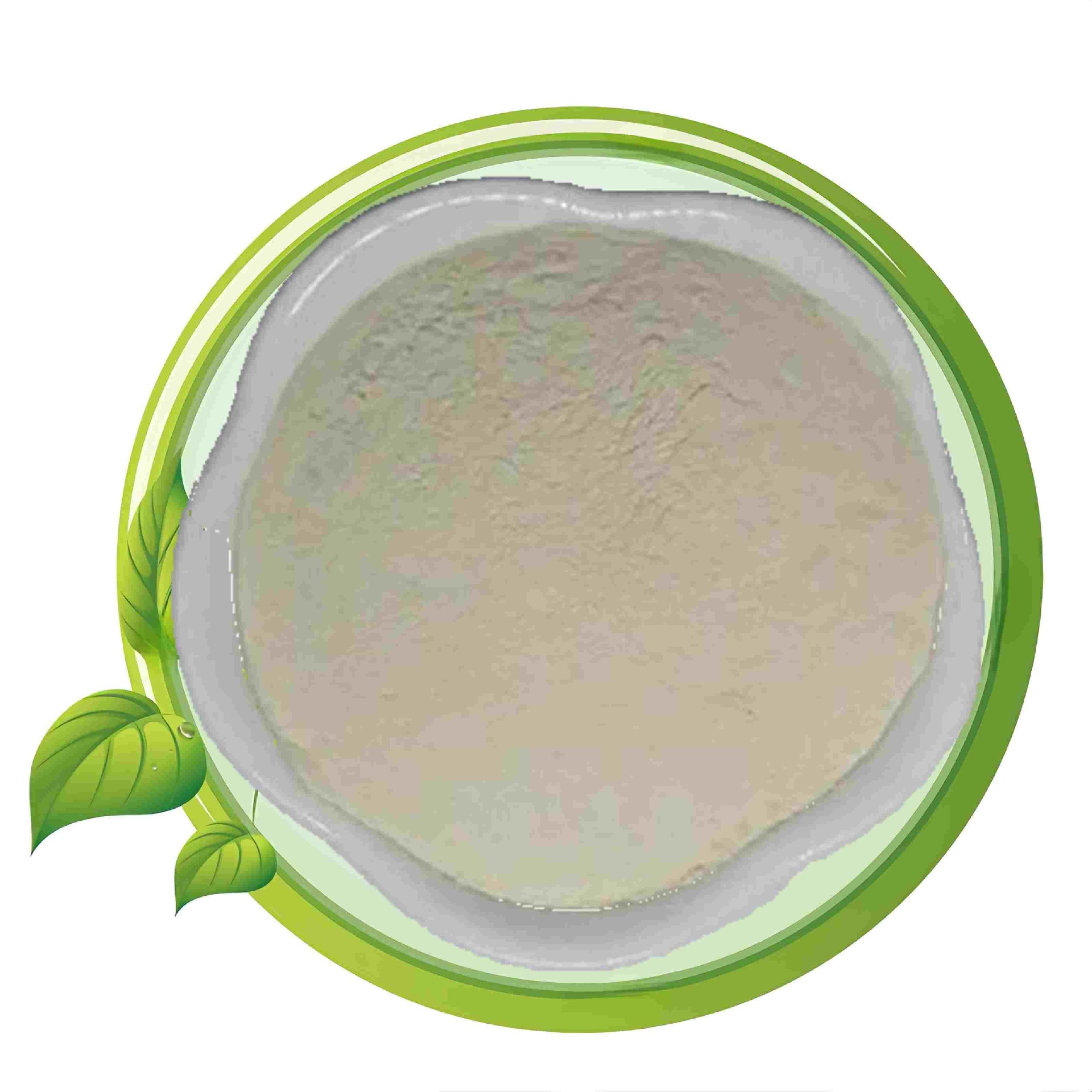 Inorganic Iron (Fe)