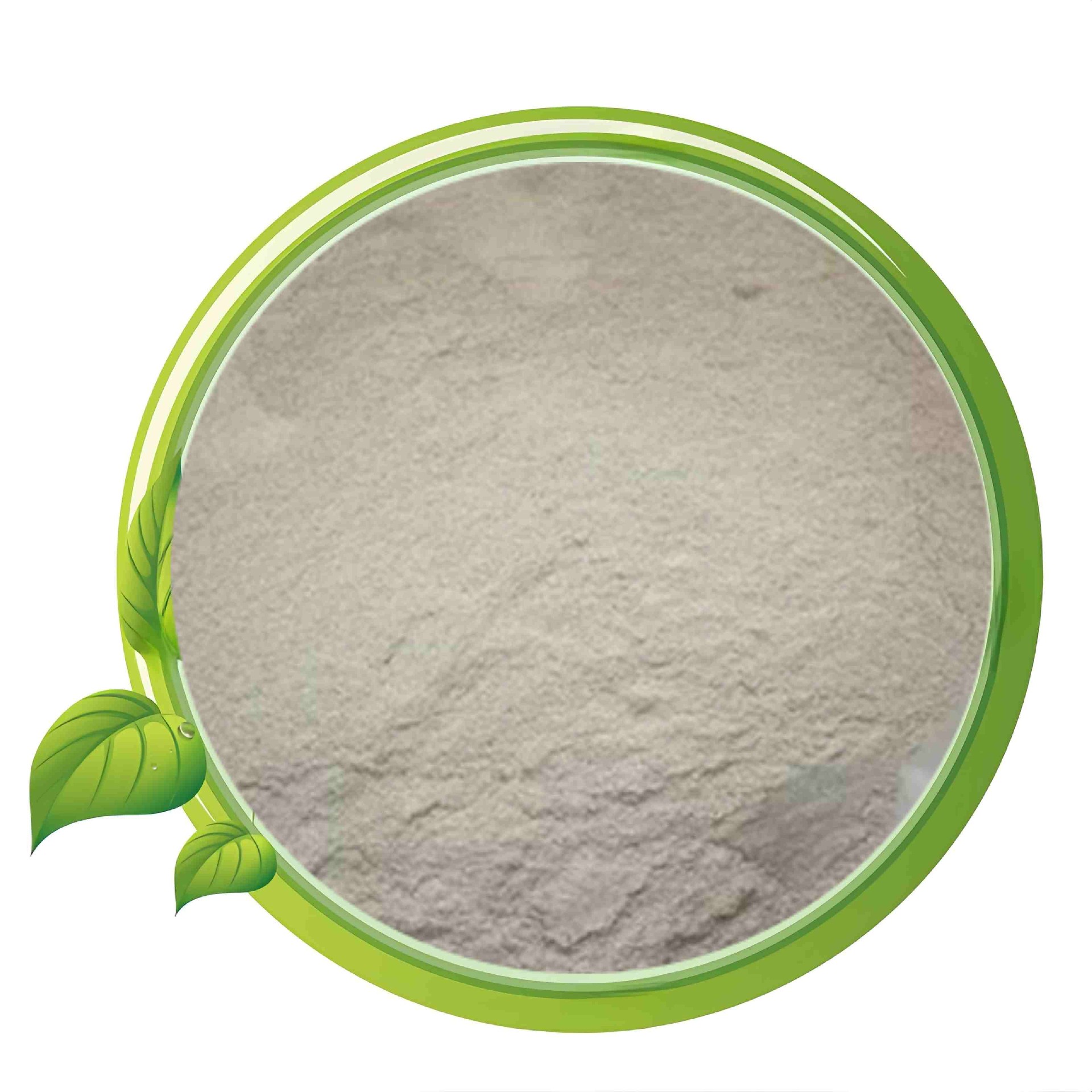 Inorganic Iron (Fe)